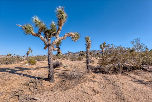 107 Juniper Rd, Joshua Tree, CA 92252