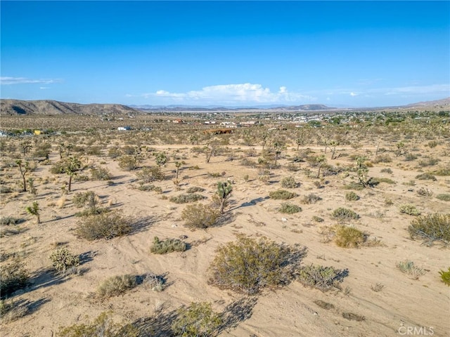 107 Juniper Rd, Joshua Tree, CA 92252