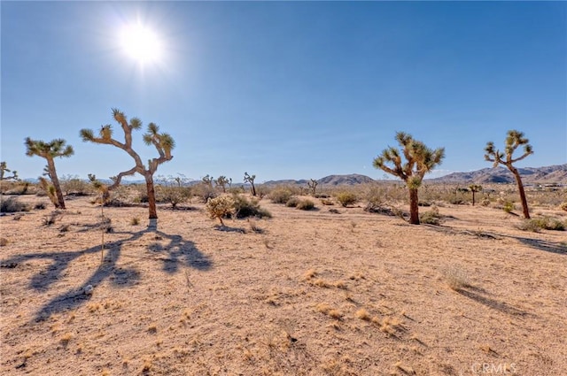 107 Juniper Rd, Joshua Tree, CA 92252