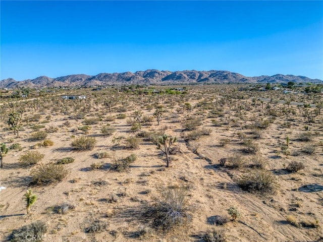 107 Juniper Rd, Joshua Tree, CA 92252