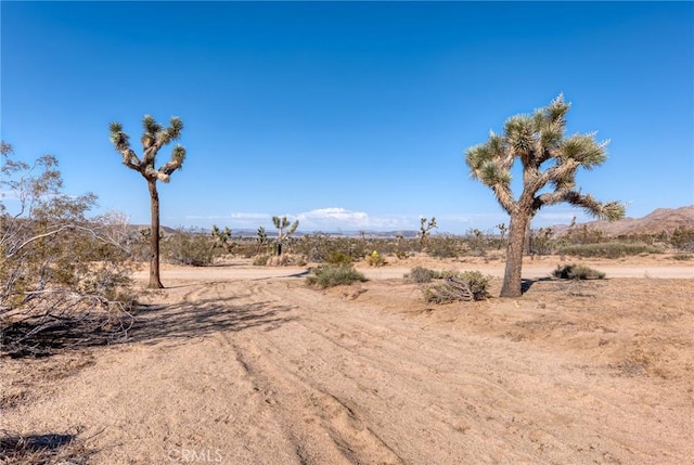 107 Juniper Rd, Joshua Tree, CA 92252
