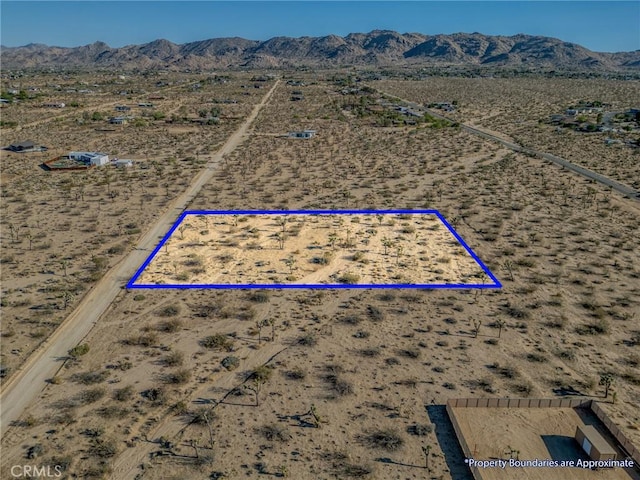 107 Juniper Rd, Joshua Tree, CA 92252