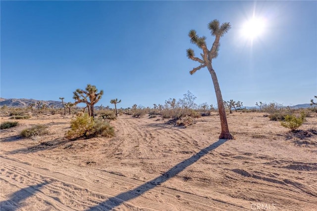 107 Juniper Rd, Joshua Tree, CA 92252