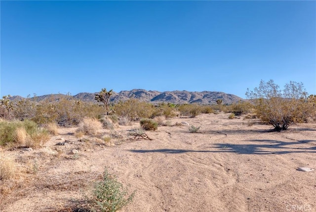 107 Juniper Rd, Joshua Tree, CA 92252