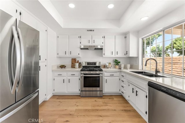 2231 El Rancho Cir, Hemet, CA 92545 - photo 8