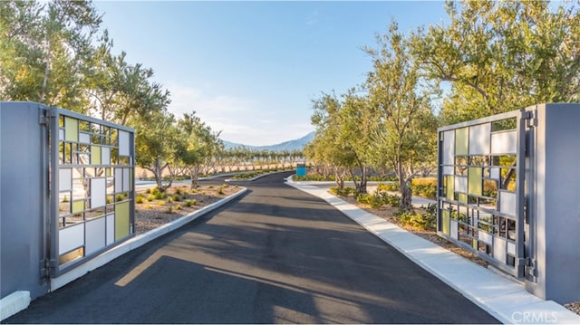 193 Mustang Ln, Palm Springs, CA 92262 - view of asphalt road