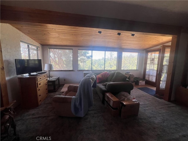 56554 Rd 200, North Fork, CA 93643 - carpeted living room with wooden ceiling and lofted ceiling