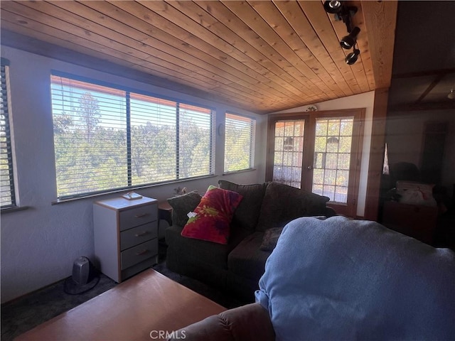 56554 Rd 200, North Fork, CA 93643 - living room featuring plenty of natural light, wood ceiling, lofted ceiling, french doors, and rail lighting