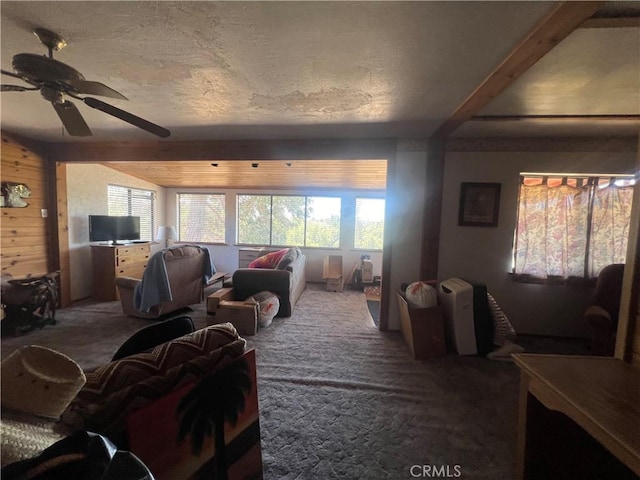 56554 Rd 200, North Fork, CA 93643 - carpeted living room with plenty of natural light, a ceiling fan, and wood walls