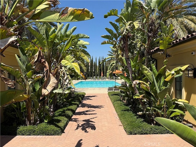 72 Granite, Irvine, CA 92620 - view of community pool