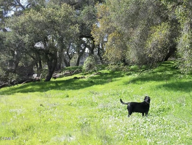 03 Burnham Rd, Ojai, CA 93023