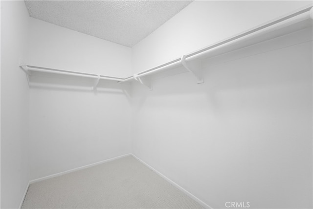 19721 Dunsmuir Plz, Yorba Linda, CA 92886 - walk in closet with carpet flooring
