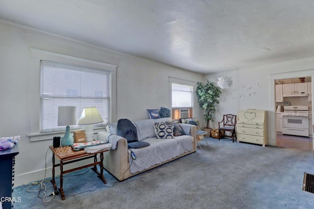 320 W Lemon Ave, Monrovia, CA 91016 - living area with carpet flooring and cooling unit