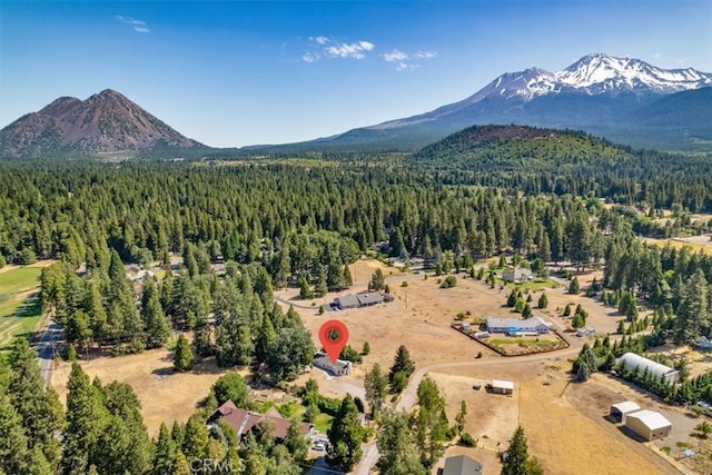 1212 N Old Stage Rd, Mount Shasta, CA 96067 - drone / aerial view of mountains