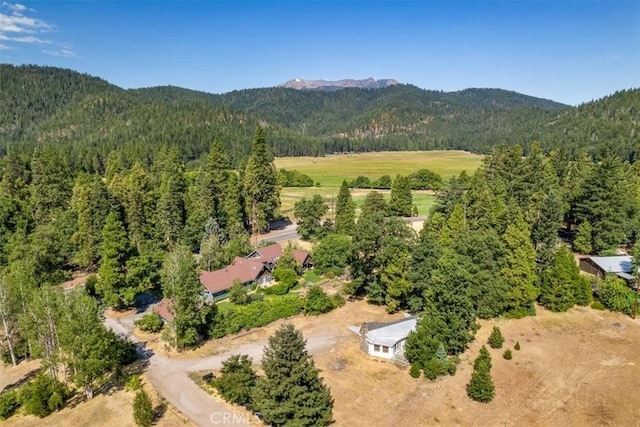 1212 N Old Stage Rd, Mount Shasta, CA 96067 - aerial view of a forest