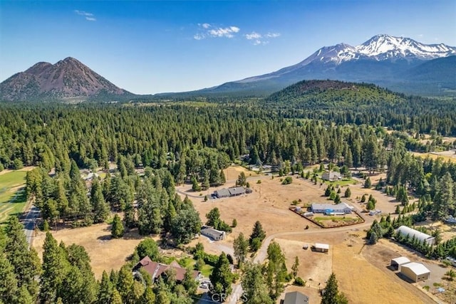 1212 N Old Stage Rd, Mount Shasta, CA 96067 - drone / aerial view of mountains