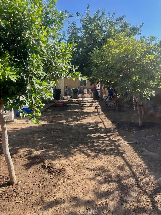 5617 29th St, Jurupa Valley, CA 92509 - view of yard