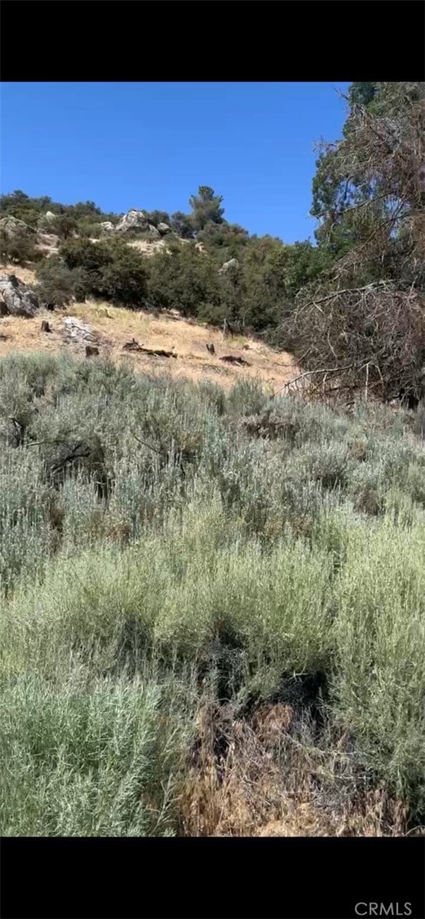 24151 Jacaranda Dr, Tehachapi, CA 93561