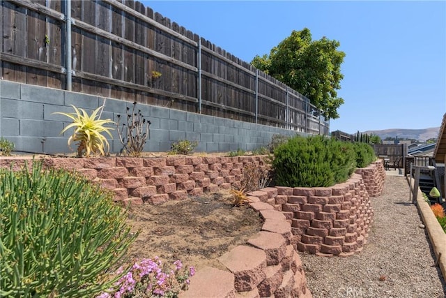 825 Rosana Pl, Nipomo, CA 93444 - view of yard