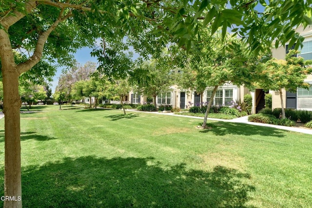 5360 Basie St, Ventura, CA 93003 - photo 17