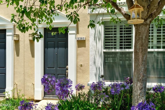 5360 Basie St, Ventura, CA 93003 - photo 29