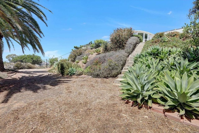 4107 Cole Way, San Diego, CA 92117 - view of yard
