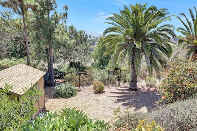 4107 Cole Way, San Diego, CA 92117 - view of yard