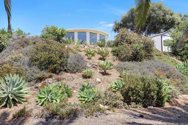 4107 Cole Way, San Diego, CA 92117 - view of yard with a storage unit