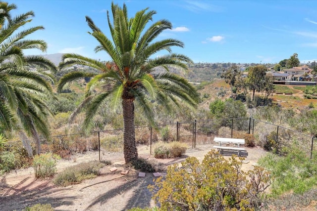 4107 Cole Way, San Diego, CA 92117 - view of yard