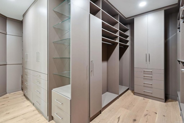 9355 Lavell St, La Mesa, CA 91941 - spacious closet featuring light wood-style flooring