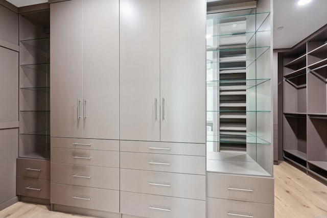 9355 Lavell St, La Mesa, CA 91941 - walk in closet featuring light wood-style flooring