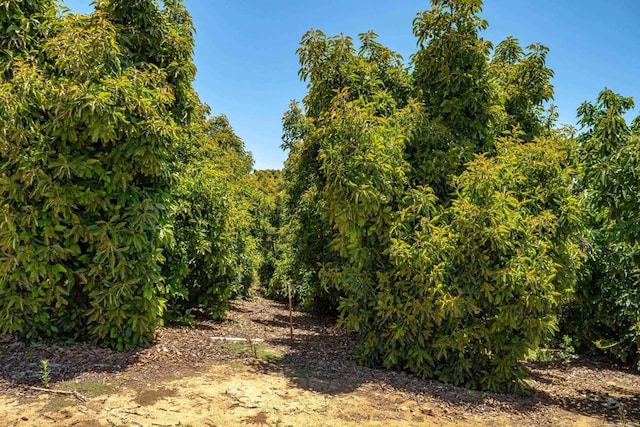 45000 Rancho Fallbrook Rd, Temecula, CA 92590