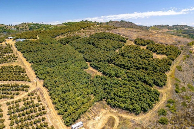 45000 Rancho Fallbrook Rd, Temecula, CA 92590 - photo 17
