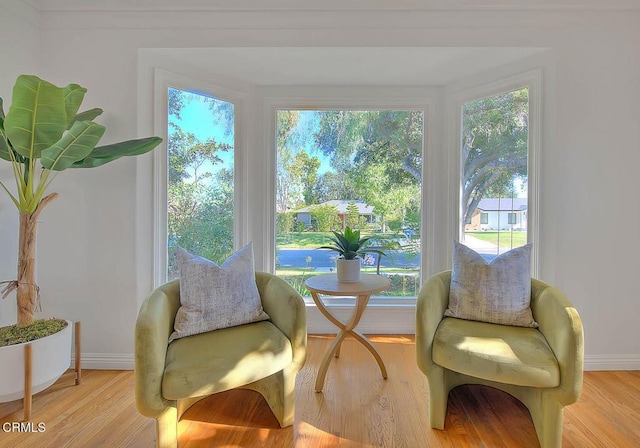 3671 Grayburn Rd, Pasadena, CA 91107 - living area featuring plenty of natural light and light wood-type flooring
