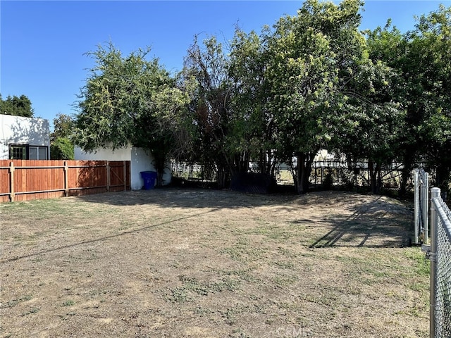 5743 Magnolia Ave, Riverside, CA 92506 - view of yard