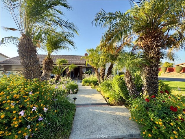 25488 Orange Crest Way, Loma Linda, CA 92354 - view of front facade featuring a chimney