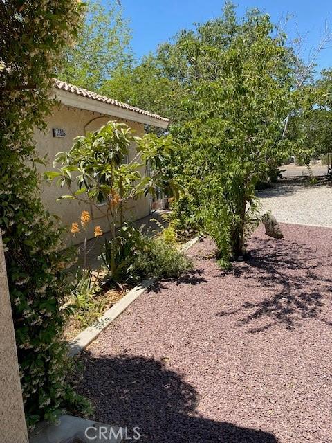 15805 Muscatel St, Hesperia, CA 92345 - view of yard
