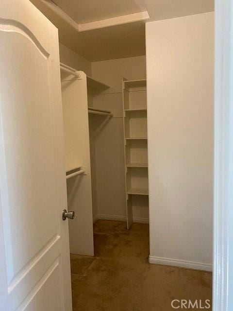 15805 Muscatel St, Hesperia, CA 92345 - walk in closet featuring carpet flooring