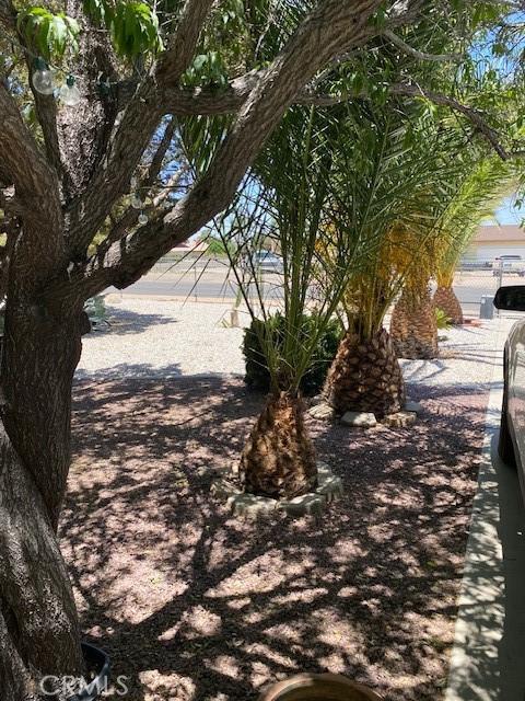 15805 Muscatel St, Hesperia, CA 92345 - view of property's community