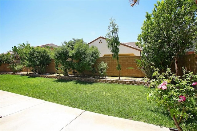 5621 Avocet Dr, Jurupa Valley, CA 91752 - fenced backyard with a patio