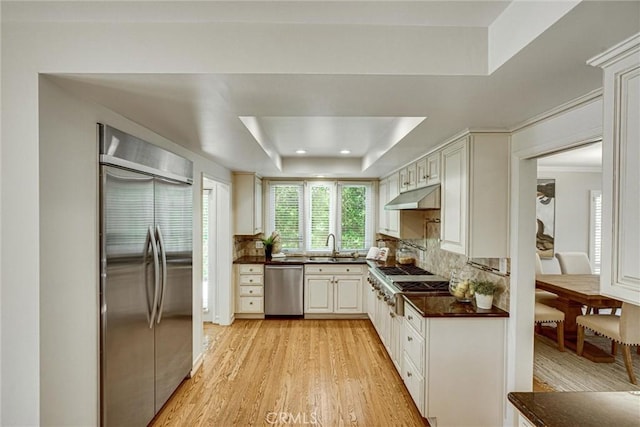 4843 Texhoma Ave, Encino, CA 91316 - kitchen featuring appliances with stainless steel finishes, under cabinet range hood, a raised ceiling, dark countertops, and light wood-style floors
