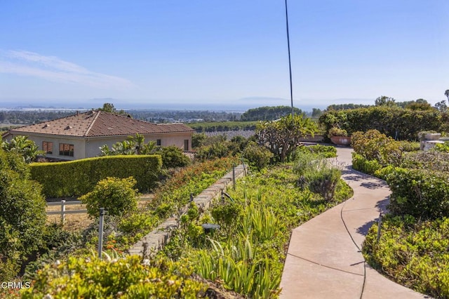 7090 El Malabar Dr, Ventura, CA 93003 - photo 47