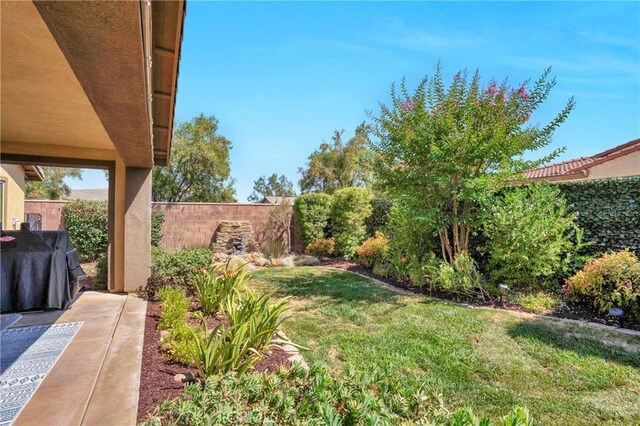 29183 Jacaranda, Lake Elsinore, CA 92530 - view of yard
