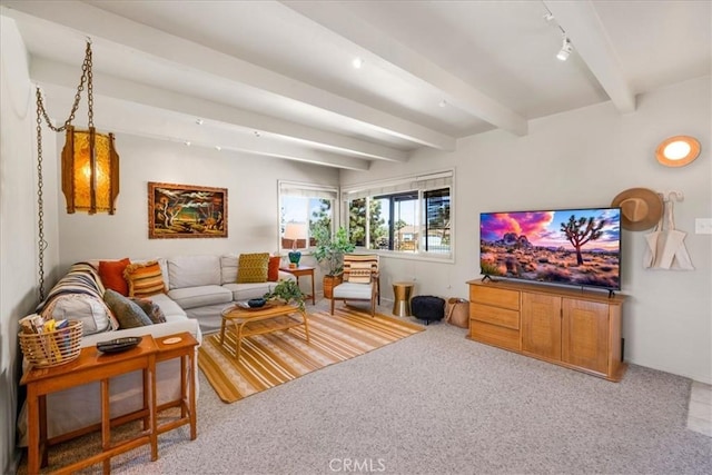 7638 Dumosa Ave, Yucca Valley, CA 92284 - carpeted living area featuring beamed ceiling and track lighting