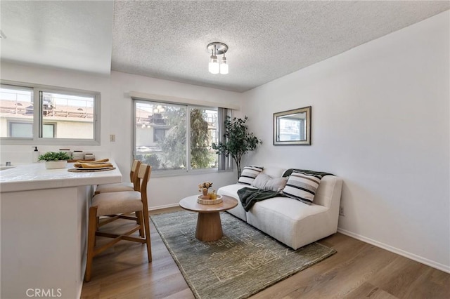 7038 De Celis Pl Unit 4, Van Nuys, CA 91406 - living room featuring a textured ceiling and light wood-style floors