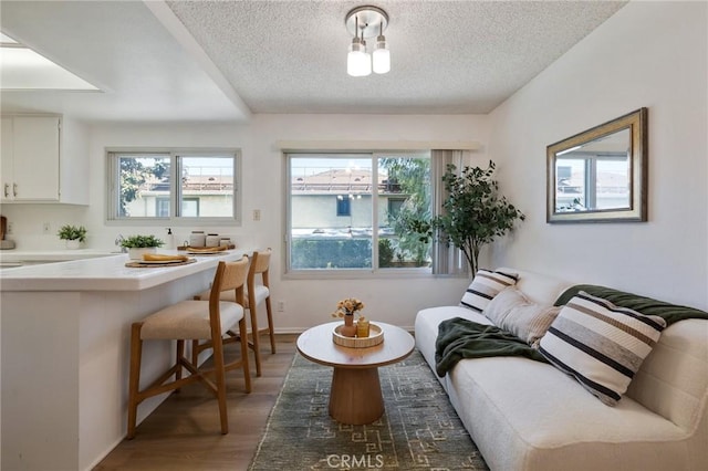 7038 De Celis Pl Unit 4, Van Nuys, CA 91406 - living area featuring a textured ceiling, healthy amount of natural light, and light wood finished floors