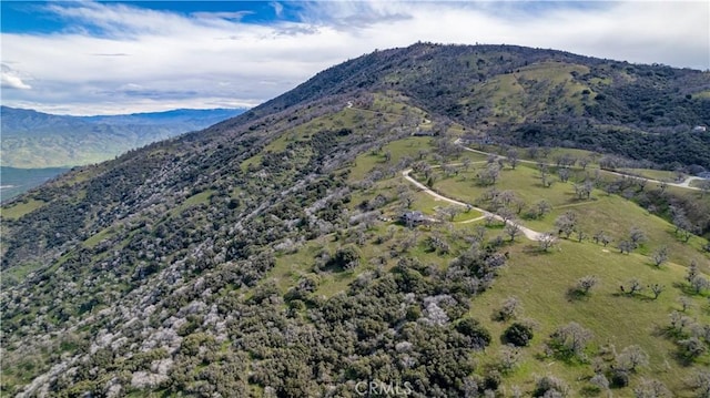 26300 Hazelwood Ct, Tehachapi, CA 93561 - photo 10