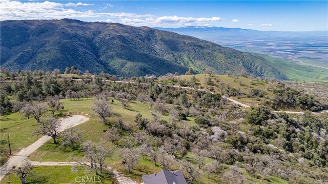26300 Hazelwood Ct, Tehachapi, CA 93561 - photo 6