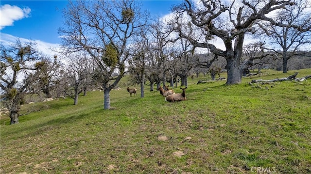 26300 Hazelwood Ct, Tehachapi, CA 93561 - photo 14