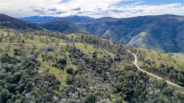 26300 Hazelwood Ct, Tehachapi, CA 93561 - photo 8